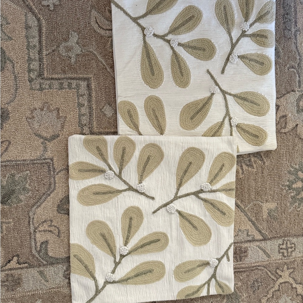 Pottery Barn Embroidery pillow covers set